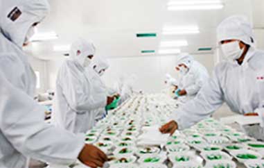 廠(chǎng)房設(shè)備 廠(chǎng)房設(shè)備